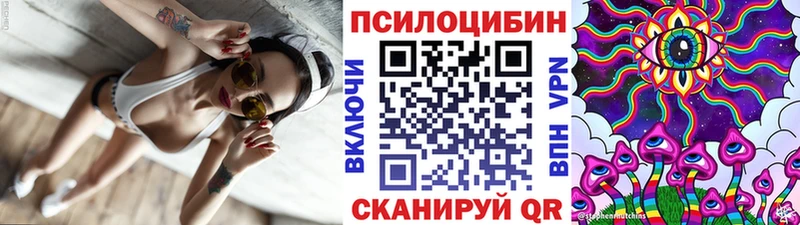 Купить  Чистополь  Псилоцибиновые грибы Cubensis 