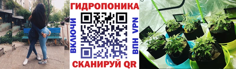 Купить закладки  Чистополь  Марихуана White Widow 